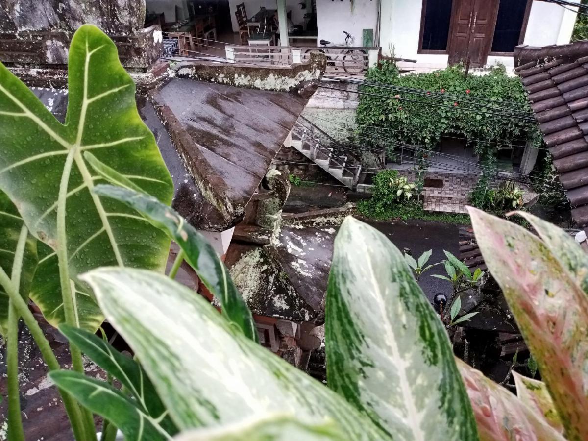 Wah Teja Homestay Ubud Exteriér fotografie